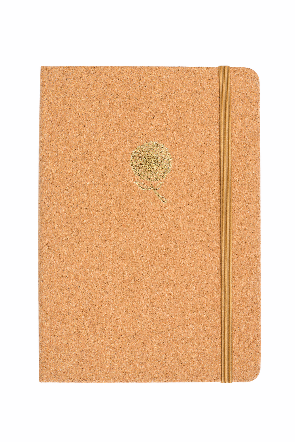 Fun and Colour Notebook Set - Luxury Box (various notebook options)