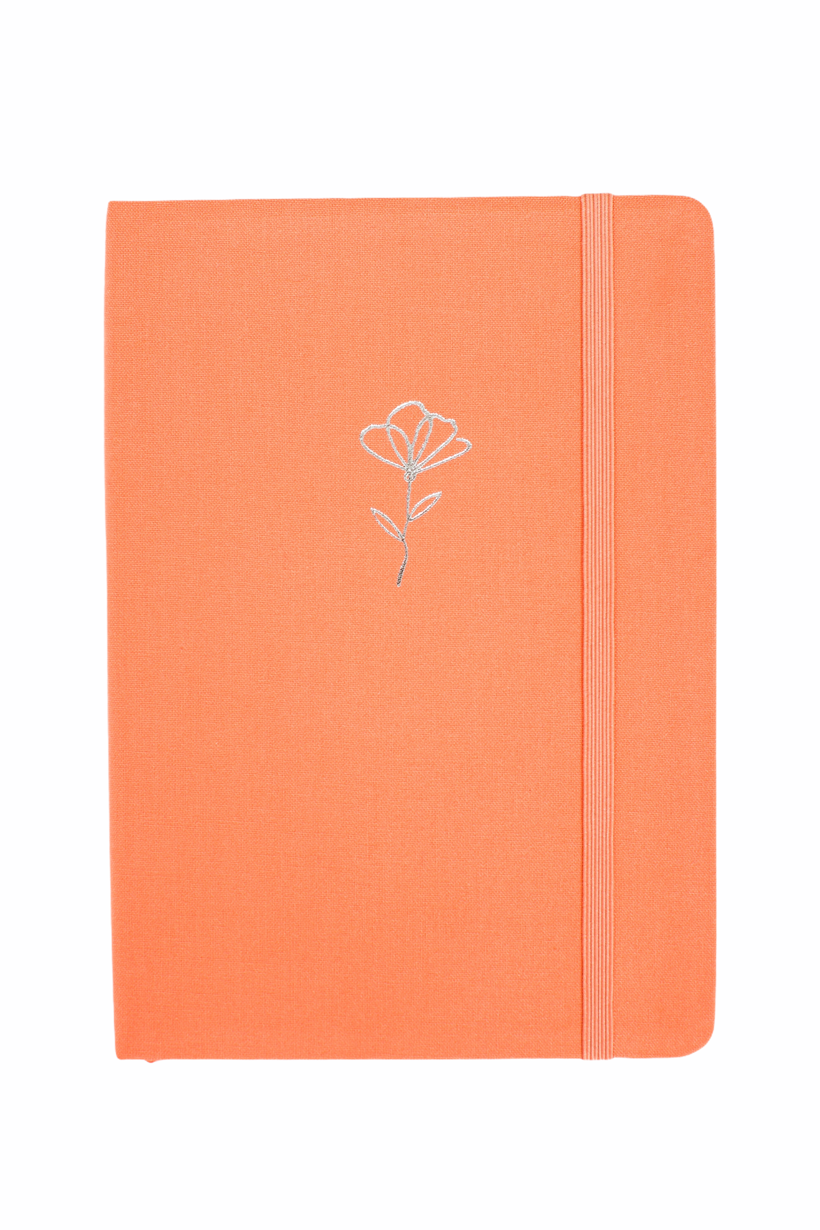 Specialist Journal Starter Box (various journal options)