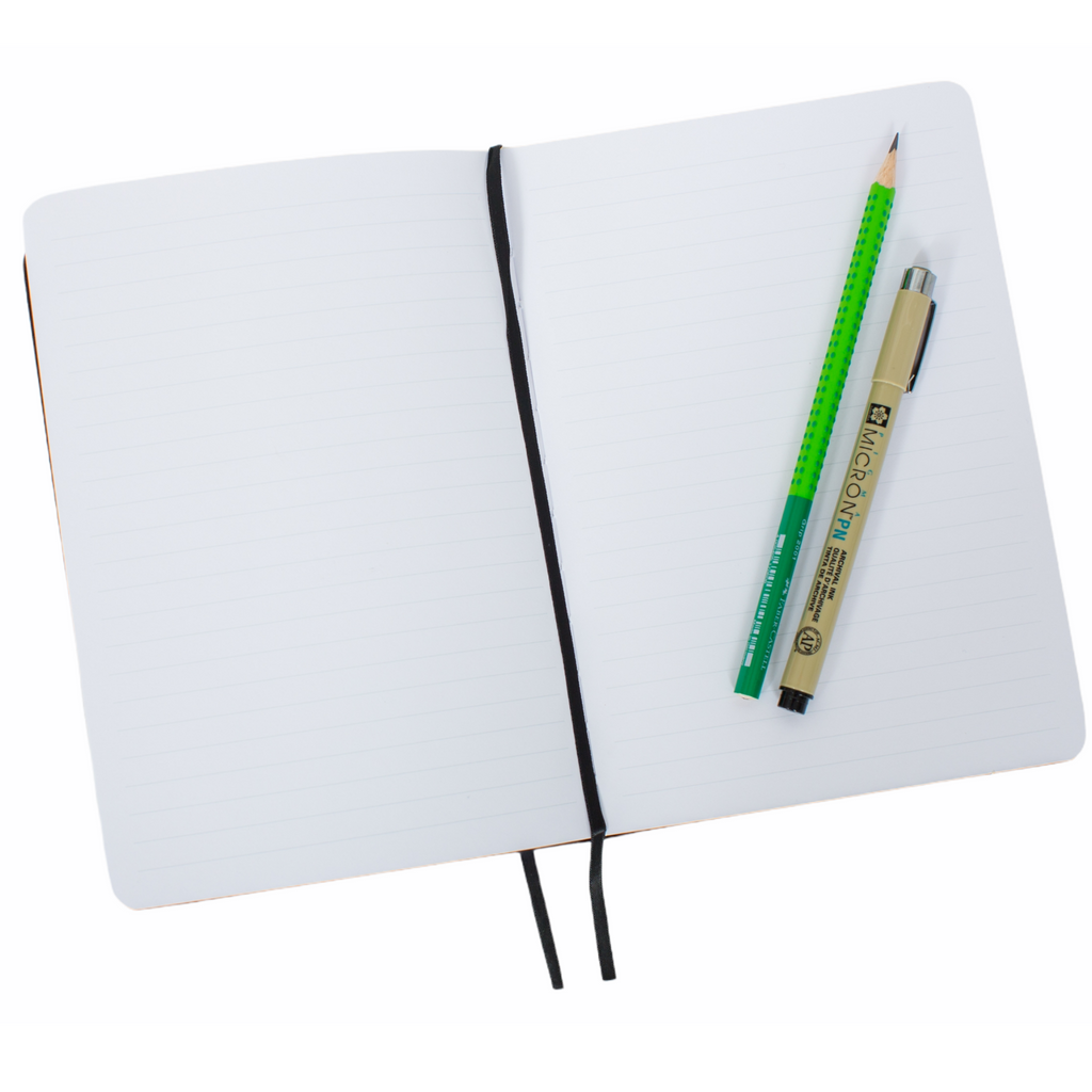 Octopus Notebook