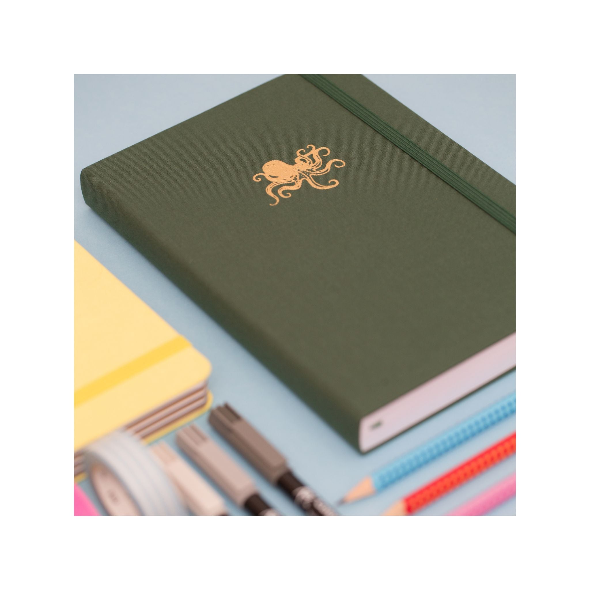 Octopus Notebook